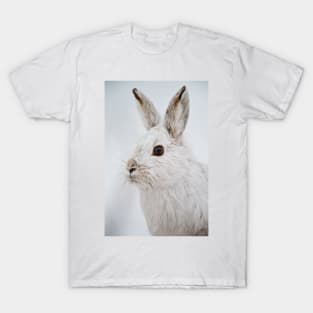 Snow Shoe Hare T-Shirt